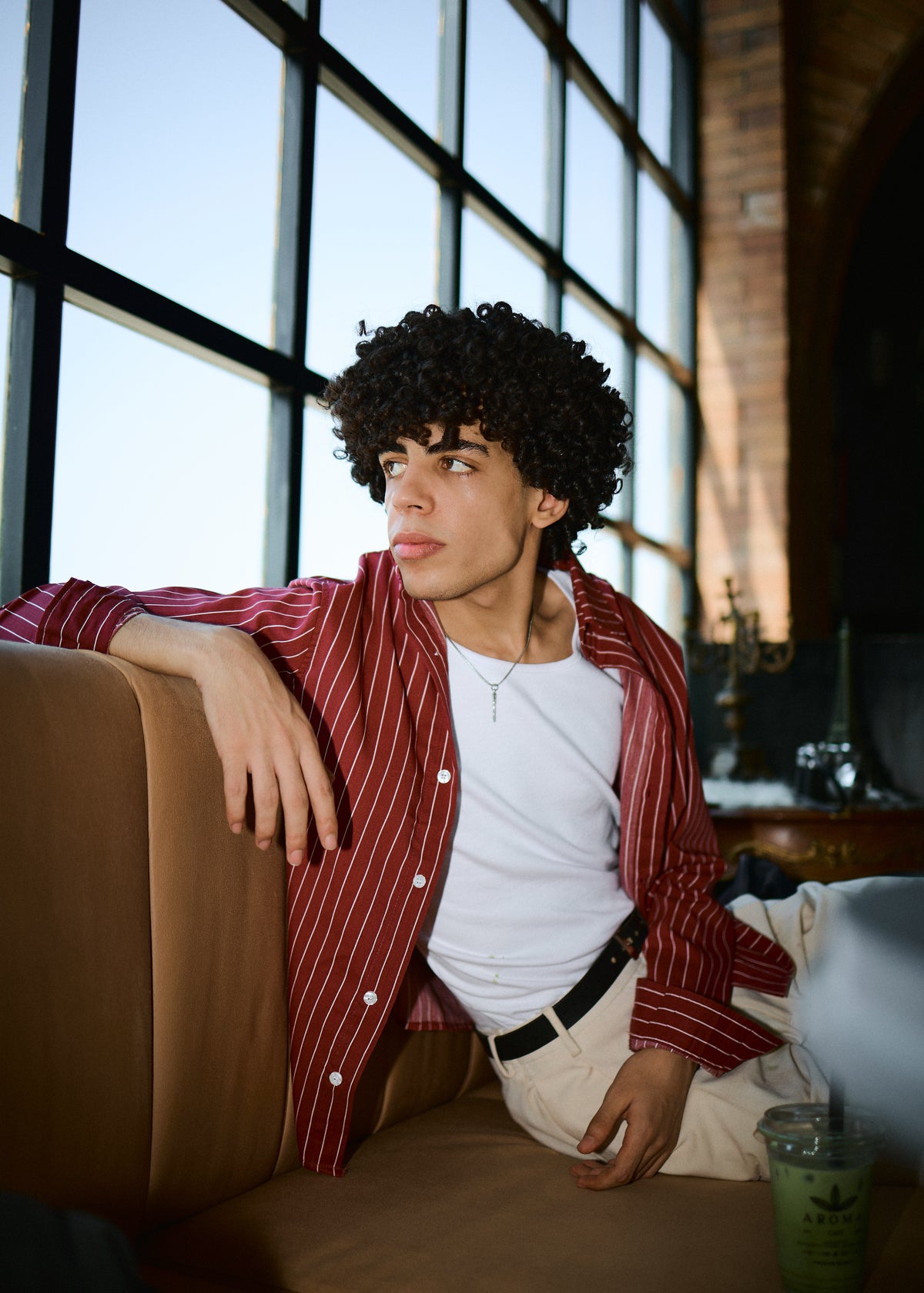Lusedo Burgundy Cropped Pinstripe Shirt